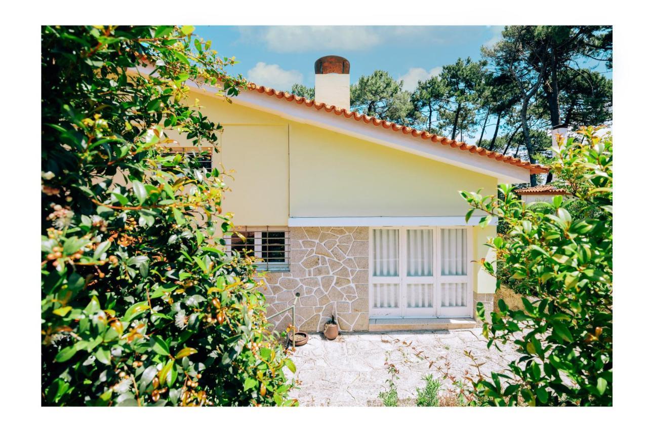 Regina Surf Houses - Cabedelo Beach فيانا دو كاستيلو المظهر الخارجي الصورة